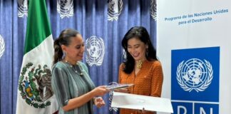 Colaborará Instituto Ciudadano por la Paz de Irapuato con programa de la ONU PNUD