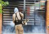 SSG registra descenso de 80 % en los casos de dengue en el estado