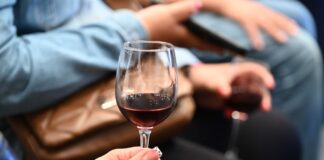 Irapuato será sede de festival del vino