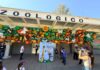 También puedes celebrar tus eventos en el ZooIra