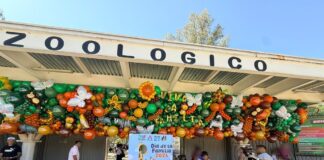 También puedes celebrar tus eventos en el ZooIra