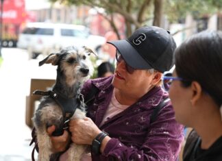 Irapuato: casi 24 mil acciones en favor del bienestar animal y atención a más de 12 mil reportes ciudadanos
