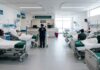 Dan «luz verde» para construir nuevo hospital del IMSS en Irapuato, confirma CTM