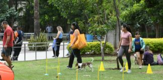 Irapuato fue sede de evento estatal sobre el bienestar animal
