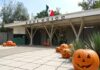 ¿Ya estás listo para las promociones del Halloween y Día de Muertos en el ZooIra?