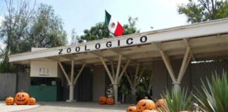 ¿Ya estás listo para las promociones del Halloween y Día de Muertos en el ZooIra?